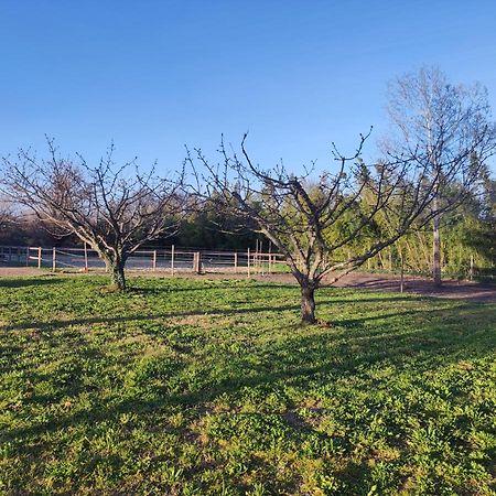 Maison A La Campagne Bouchet  Ngoại thất bức ảnh