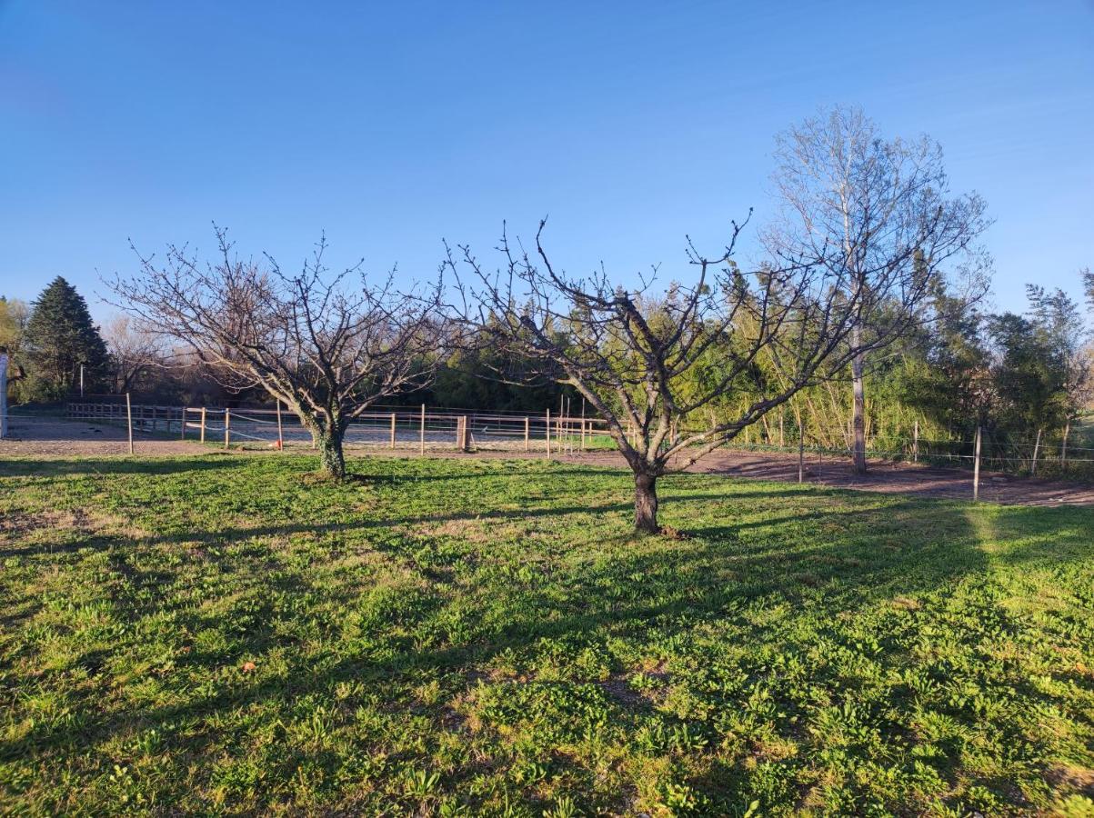 Maison A La Campagne Bouchet  Ngoại thất bức ảnh